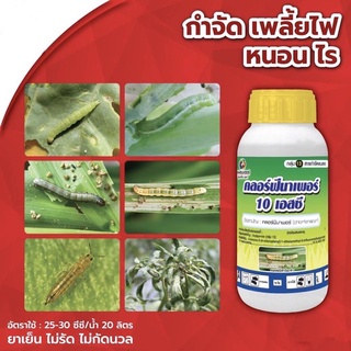 คลอร์ฟีนาเพอร์ 10 เอส.ซี chlorfenapyr10%SC ยาเย็น ไม่รัด ไม่กัดนวล