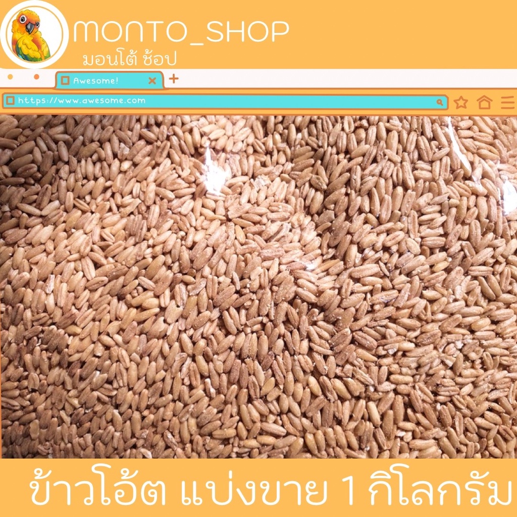 อาหารนก ข้าวโอ๊ต เนื้ออวบสวย แบ่งแพ็ค 1 kg.