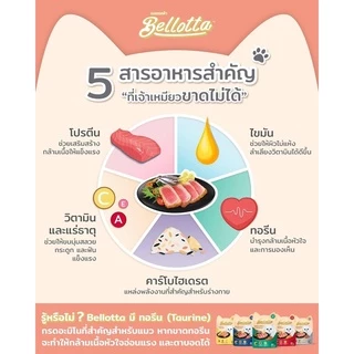 Bellotta Premium Cat Pouch❤️ เบลลอตต้า อาหารเปียกเกรดคุณภาพสำหรับแมว มากันให้เลือกถึง 8 รสชาติ บรรจุ 85g