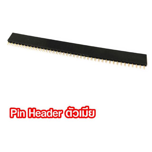 ขาเฮดเดอร์ Pin Header ขาเสียบบอร์ด พินเฮดเดอร์ ก้างปลา ตัวเมีย Female Strip Jumper Connector Arduino AVR PIC Module