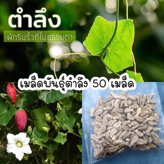 เมล็ดพันธุ์ตำลึง ผักพื้นบ้าน 50 เมล็ด