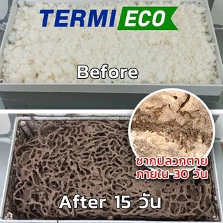 เหยื่อกำจัดปลวก เหยื่อปลวก อาหารปลวก สมุนไพรเหยื่อกำจัดปลวก TERMI-ECO