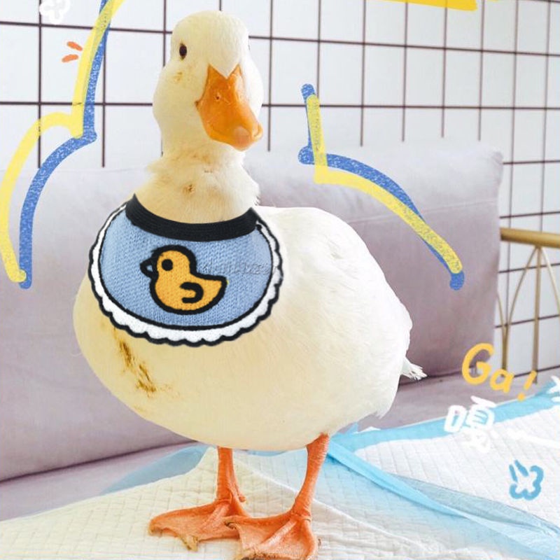 ♈№Pet Duck Supplies Cole Duck Clothes Living Little Duck Clothes Little
