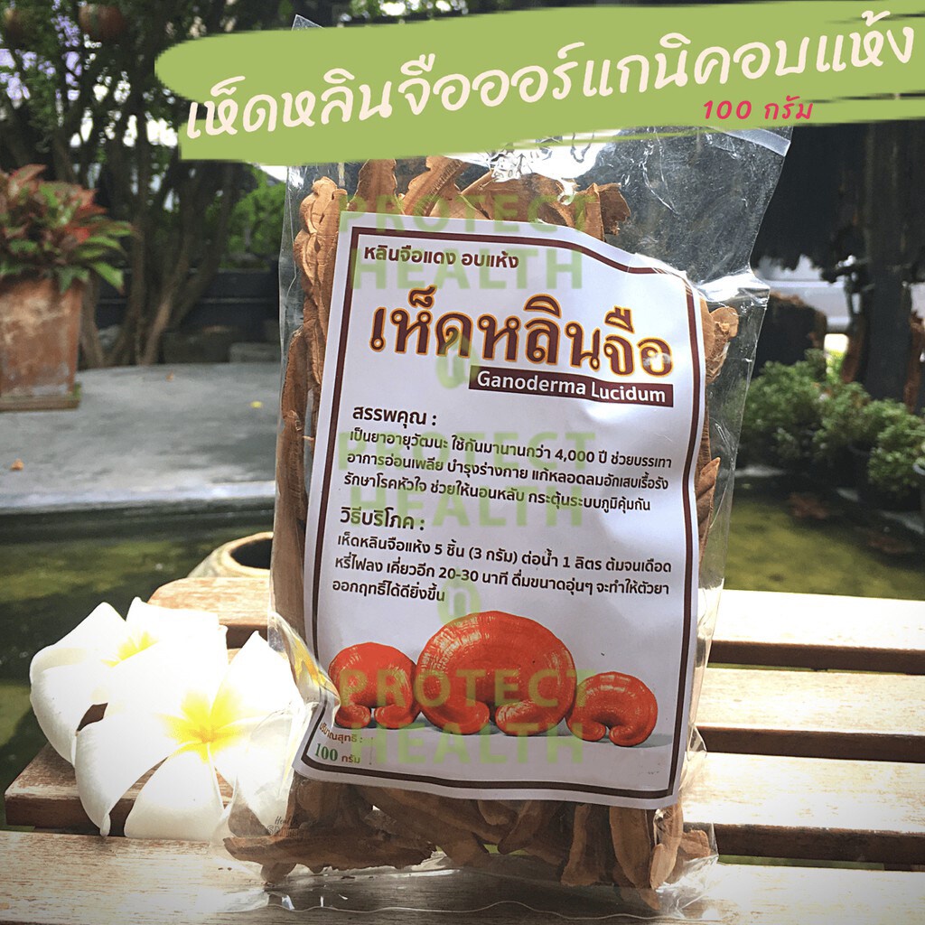 Dried Herb, Organic, เห็ดหลินจือแดงอบแห้ง 100 g สมุนไพรอบแห้ง ออแกนิคHerbal Tea ต้มหรือชง เครื่องดื่มสมุนไพร ชาสมุนไพร