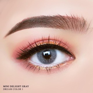 mini Delight Gray (2) Dream color1 ฝาม่วง สีเทา เทา ตาฝรั่ง ไม่มีขอบ Contact Lens Bigeyes คอนแทคเลนส์ สายตาสั้น ค่าสายตา