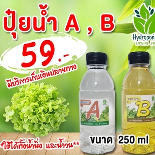 ปุ๋ยน้ำ A B ขนาด 250 ml