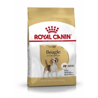 Beagle Adult Royal Canin 3kg