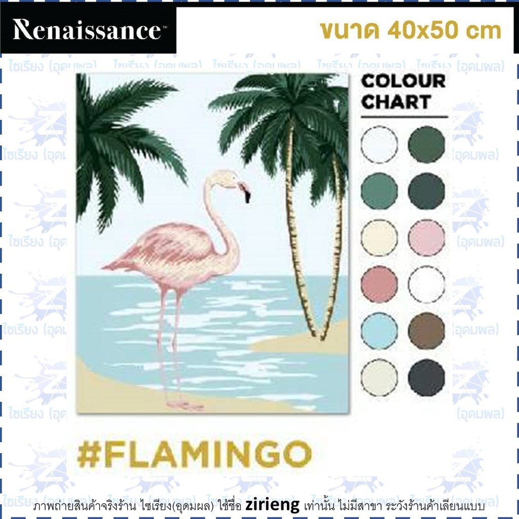 ชุดแคนวาส ระบายสีตามตัวเลข Renaissance Paint by Number Kit