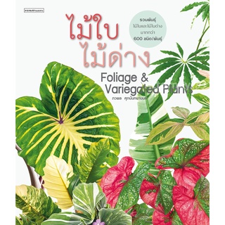 ไม้ใบไม้ด่าง Foliage &amp; Variegated Plants