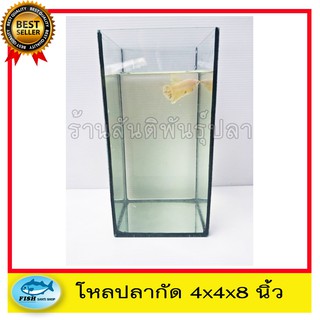 โหลปลากัด 4x4x8 นิ้ว หนา3มิล