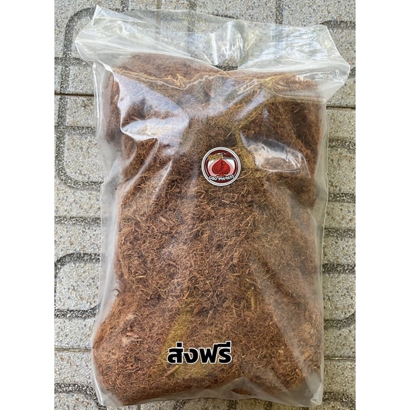 สีเสียด  ทำน้ำหมักปลากัด   AcaciaCatechu**ถุงซิปอย่างดี เก็บความชื้น กันเสีย   ส่งฟรี