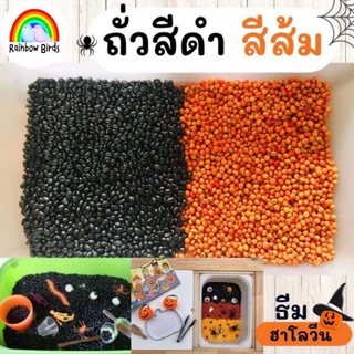 ถั่วสีดำ ถั่วสีส้ม สำหรับทำกิจกรรม sensory bin ธีมฮาโลวีน Halloween sensory play ของเล่นวันฮาโลวีน trick or treat