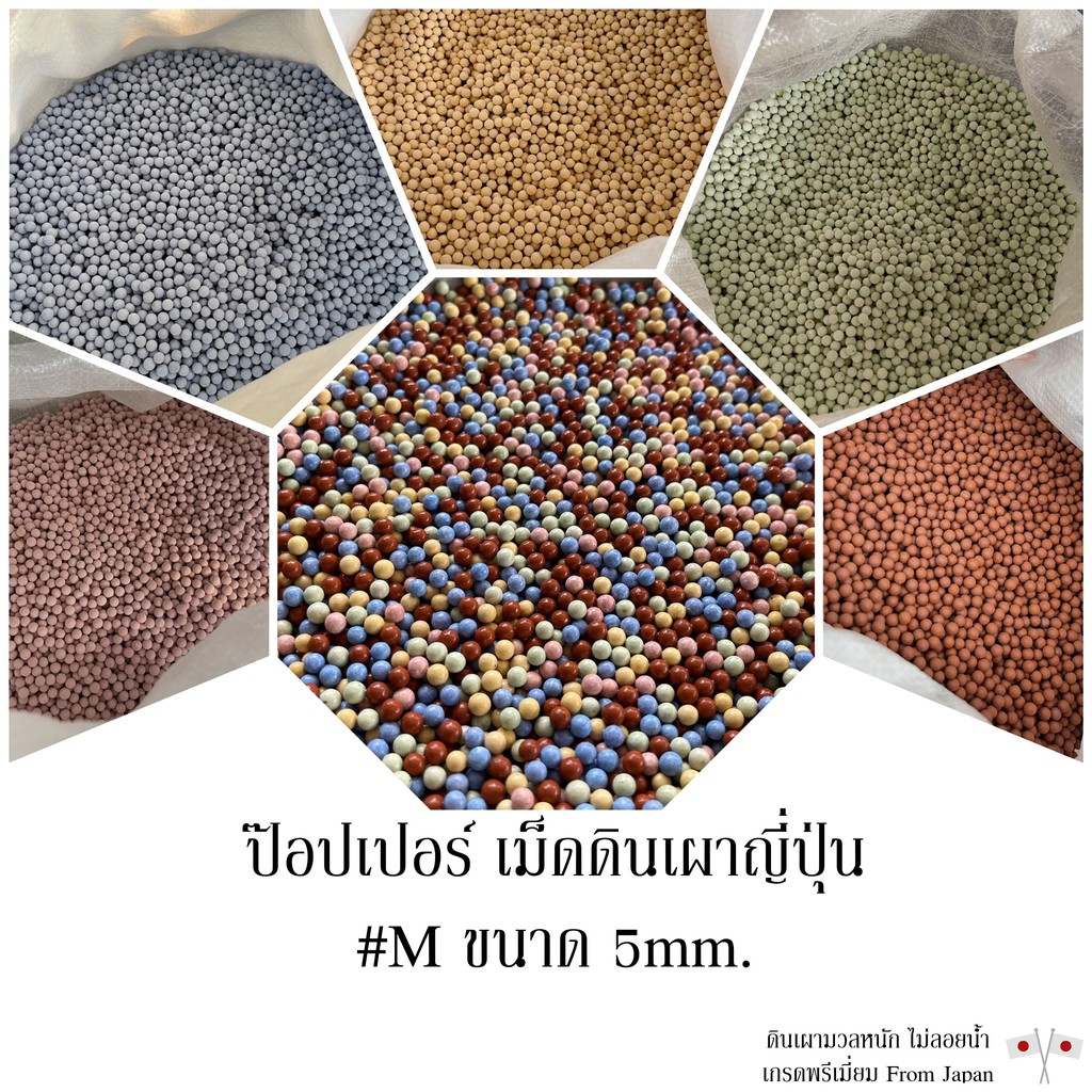 ป๊อปเปอร์ เม็ดดินเผาญี่ปุ่น #M ขนาด5มม. สำหรับโรยหน้ากระถาง ตกแต่งแคคตัส ผสมดินปลูกหรือใส่ตู้ปลา เกรดพรีเมี่ยม

<p>“><center></p>
<h4></h4>
<p><p><font color=