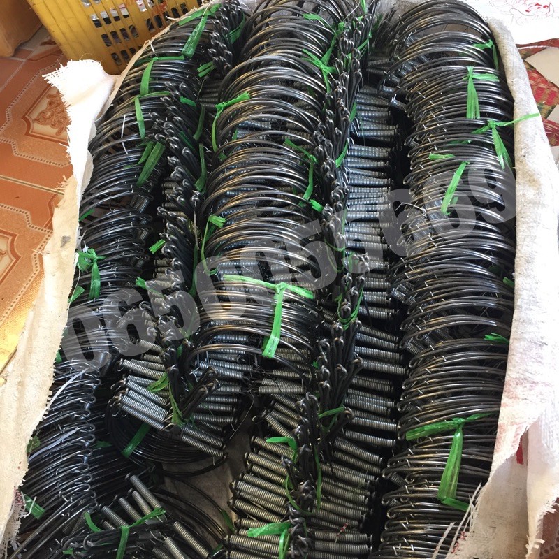 รูปภาพ 5