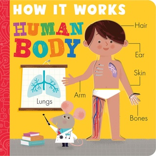 How it Works: Human Body (Board Book) [Hardcover]