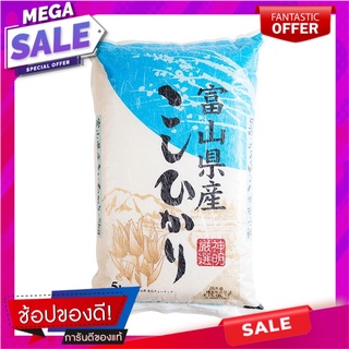 ชินเมข้าวสารญี่ปุ่นพันธุ์โคชิฮิคาริ 5กก. Shinsa, Japanese rice, varieties Kochi Hikari 5 kg.