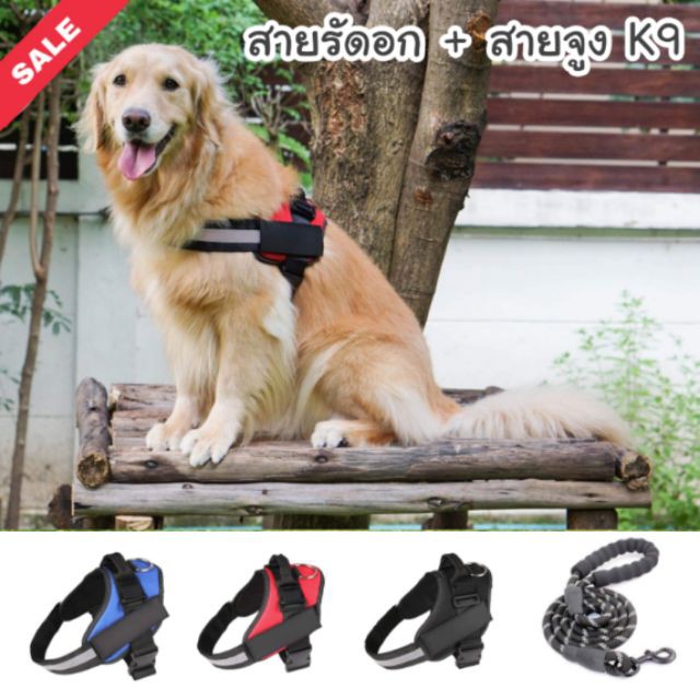 CatHoliday สายรัดอกและสายจูง K9 สายจูงสุนัขพร้อมสต็อก