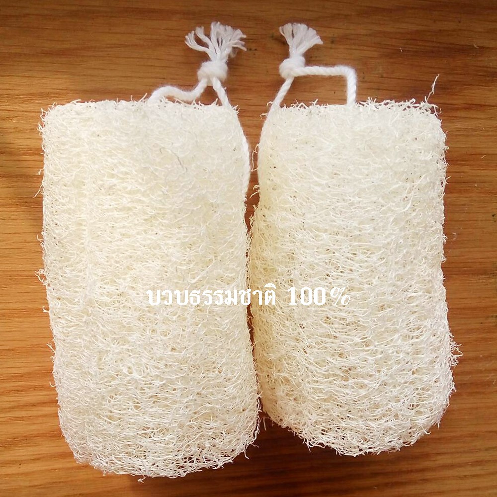 (2 ชิ้น) ใยบวบขัดผิว บวบตัดท่อน ยาว 4นิ้ว พร้อมเชือกแขวน ใยบวบธรรมชาติ ใช้ ขัดผิว ขัดขี้ไคล้ COD