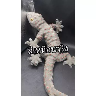 🦎ตุ๊กแกปลอม ขนาดใหญ่เท่าแขน(23นิ้ว)/ตัวเฮ้ยยาว28นิ้ว/ จระเข้22นิ้ว