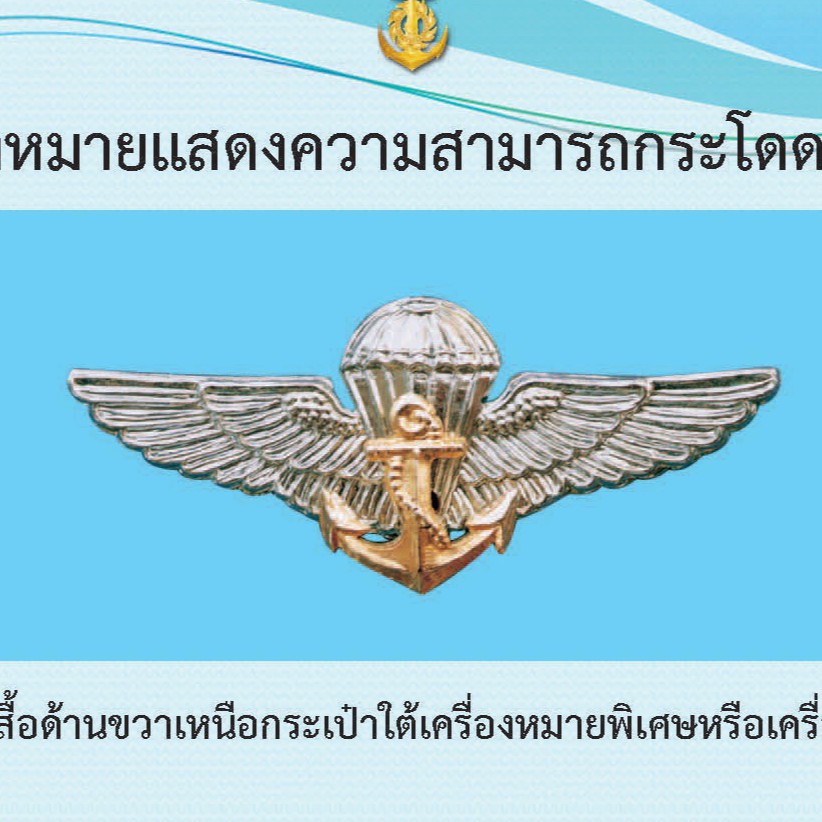 ปีกโดดหอนาวิกโยธินกองทัพเรือ  ของแท้จากทหารเรือ