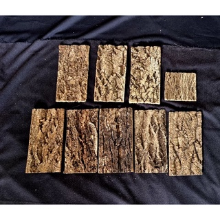 Cork bark wood เปลือกไม้คอร์ก สำหรับisopod บ้น แมลง บ้านสัตว์ เปลือกไม้  isopod