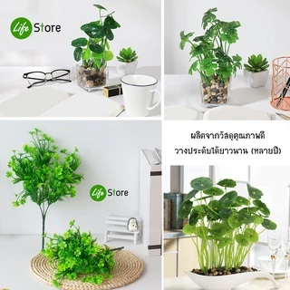 ต้นโคลเวอร์ /แว่นแก้ว(ใบบัวบก) ต้นไม้ประดิษฐ์ สวยงามเสมือนจริง (พร้อมส่งในไทย ถึงเร็วทันใจ)