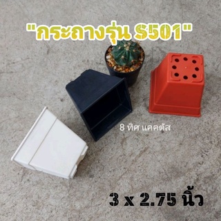 กระถาง เหลี่ยม S501 // กด 100 ใบ 350 บาท -- กระถาง 3 นิ้ว -- กระถางแคคตัส กระถางพลาสติก กระบองเพชร