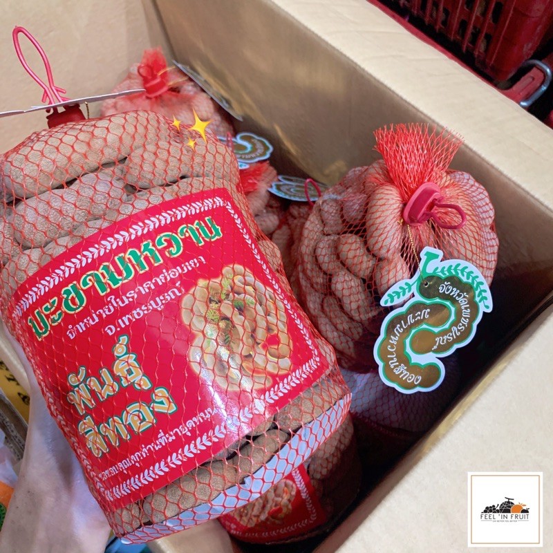 ✨มะขามหวาน พันธุ์สีทอง✨ เพชรบูรณ์แท้ เนื้อแน่น หวาน ฉ่ำ ราคาต่อถุง