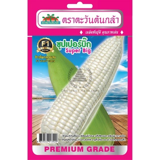 เมล็ดพันธุ์ ข้าวโพดลูกผสม ซุปเปอร์บิ๊ก 10 กรัม/ซอง ตราตะวันต้นกล้า