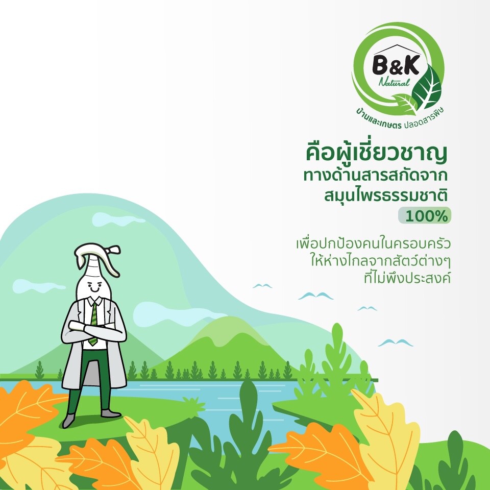 รูปภาพ 6