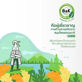 สเปรย์ไล่แมลงสาบ ไล่มด ไล่ยุง ไล่แมลง Cockroaches Ants Mosquitos & Insect-Free B and K Natural