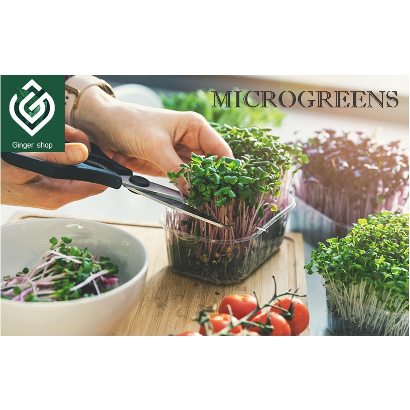 Microgreen ชุดปลูกต้นอ่อน ทานตะวัน ผักบุ้ง ไควาเระ โต้เหมี่ยว ข้าวสาลี ต้นอ่อนไมโครกรีน ผักปลอดภัย ผ