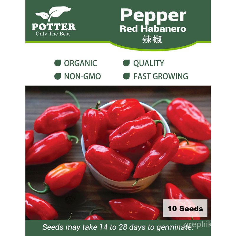 Potter - Red Habanero vegetable seeds, 10 seeds [Local Seller!จัดส่งที่รวดเร็ว!] เด็ก/พาสต้า/เสื้อ/ผ