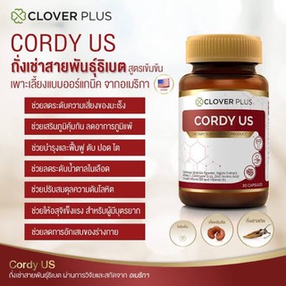 Clover Plus Cordy Us คอร์ดี้ ยูเอส อาการเสริมถั่งเช่าเข้มข้นจากธิเบต กระปุก 30 แคบซูล พร้อมส่ง