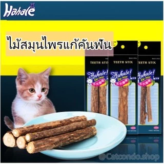 🌵 catnip5แท่ง ไม้มาทาทาบิ ก้านมาทาทาบิ ขัดฟันแมว ไม้แมวเมา matatabi ขัดฟันแมว ไม้ขัดฟัน 🌵