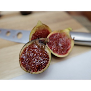 10 เมล็ด เมล็ดมะเดื่อฝรั่ง Figs สายพันธุ์ Martinenca Rimada มะเดื่อฝรั่ง หรือ ลูกฟิก