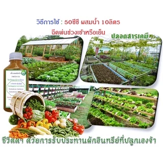 ไตรโคเดอร์มา + บีเอส +ฮอร์โมนพืชทางใบ เชื้อสดชนิดน้ำ เข้มข้น พร้อมใช้ ป้องกัน กำจัดโรคพืชและบำรุงฮอร์โมนพืชทางใบ