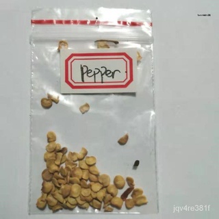 20pcs Jalapeñ o Pepper Seeds Hot Spicy Seeds Vegetable Seeds Fresh From Farm Seedsกระโปรง/กางเกง/คื่นฉ่าย/บ้านและสวน/เมล