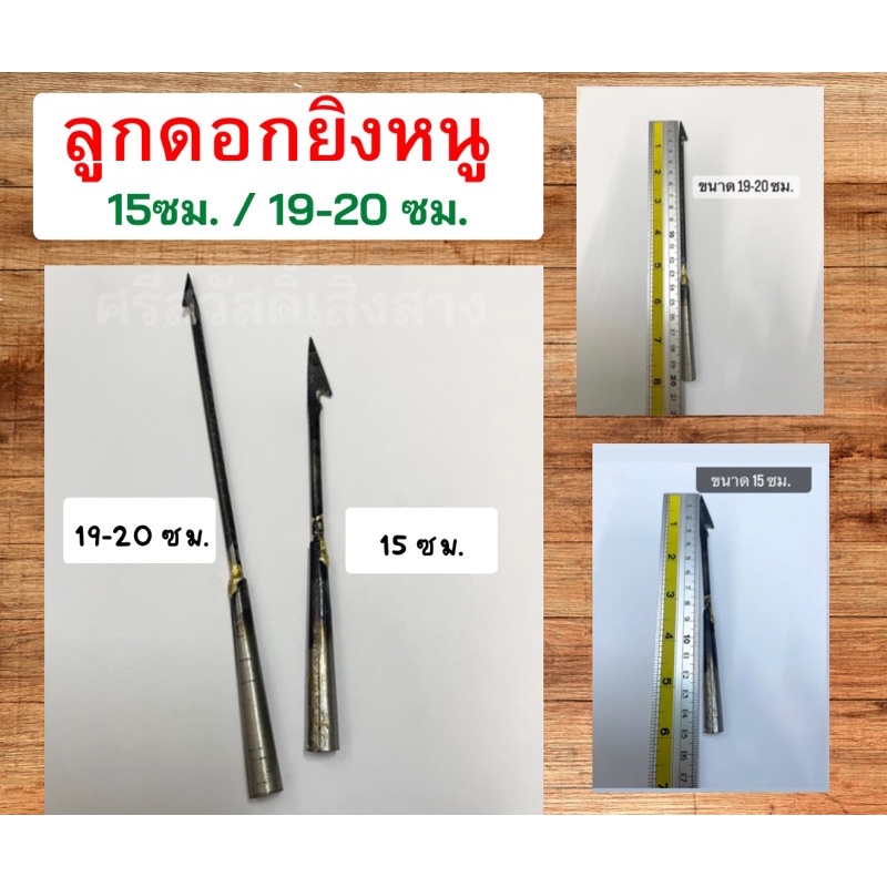 ลูกดอกยิงหนู (สั่งขั้นต่ำ 2 อัน)ลูกดอก ยิงหนู ลูกดอกยิงปลา ลูกดอกปืนยิงหนู ลูกดอกยิงหนู ลูกดอกเหล็ก
