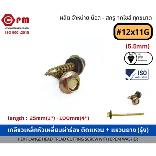 เกลียวเหล็กหัวเหลี่ยมผ่าร่อง ติดแหวน+แหวนยาง (รุ้ง) [HEX FLANGE HEAD THREAD CUTTING SCREWS WITH EPDM]