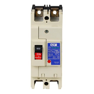 เบรกเกอร์ MCCB CT 2P 100A MOLD CASE CIRCUIT BREAKER 2P 100A CT