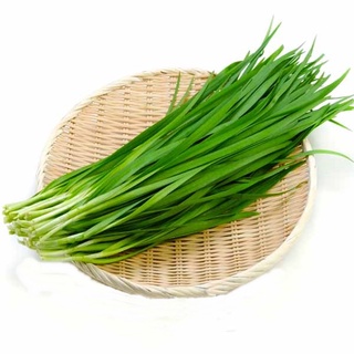 กุยช่าย 📌ถูกที่สุด10บ.📌เมล็ดพันธุ์กุยช่าย 40 เมล็ด ☘️ปลูกง่า…