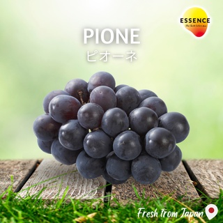 องุ่นดำสายพันธ์ Pione by ESSENCE