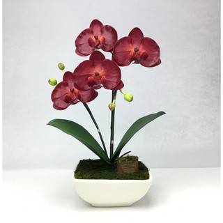 OrientalFineArt ดอกไม้ปลอมตกแต่งบ้าน กระถางกล้วยไม้ Artificial Orchid plant arrangement