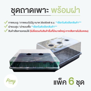 ถาดไดโซะพร้อมฝาครอบใส แพ็ค 6 ชุด - ฝาใส ฝาอบ ฝาปิดถาดเพาะ แบบสูง แบบเตี้ย