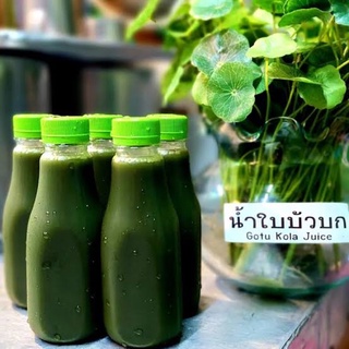 น้ำ ใบบัวบก คั้นสด ไม่ผสม น้ำตาล 500mL