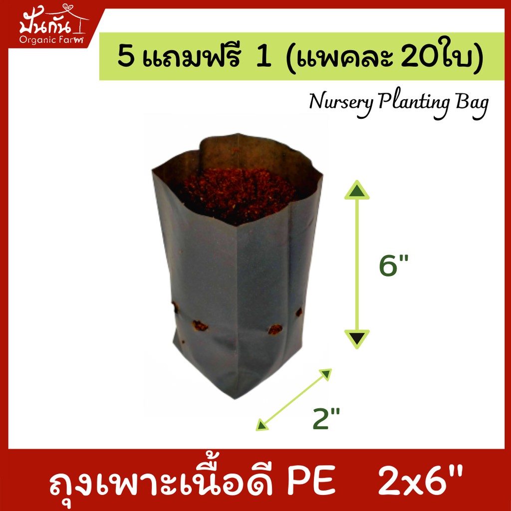 [5แถมฟรี1] ถุงปลูกต้นไม้  2x6” ถุงเพาะชำ สีดำ เนื้อPE เหนียว เจาะรู แพคละ20ใบ [สั่ง5แพคแถมอีก1แพค] Nursery Planting Bag