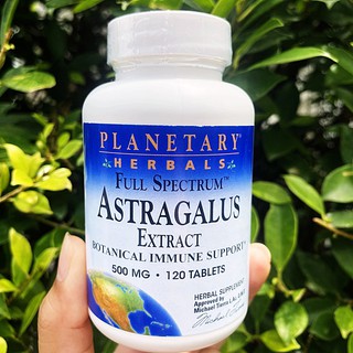 อึ้งคี้ Astragalus Extract Full Spectrum 500 mg, 120 Tablets (Planetary Herbals®)