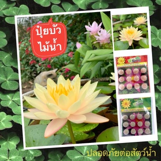 ปุ๋ยบัว ไม้น้ำทุกชนิด สูตรเพิ่มดอก เพิ่มสี และสูตรบำรุงต้น แตกหน่อ ตราช่องาม ราคาส่ง ปลอดภัยต่อสัตว๋น้ำ น้ำใส ปลาไม่ตาย