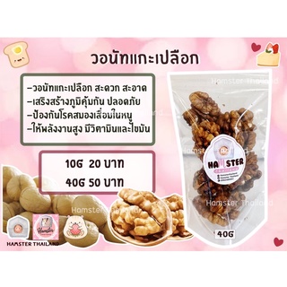 💖Hamsterthailand💖วอลนัท วอนัท ขนมแฮมสเตอร์ สัตว์เลี้ยง ถั่วรวม อัลมอนด์ วอลนัท ลูกเกด ขนมสำหรับสัตว์เลี้ยง